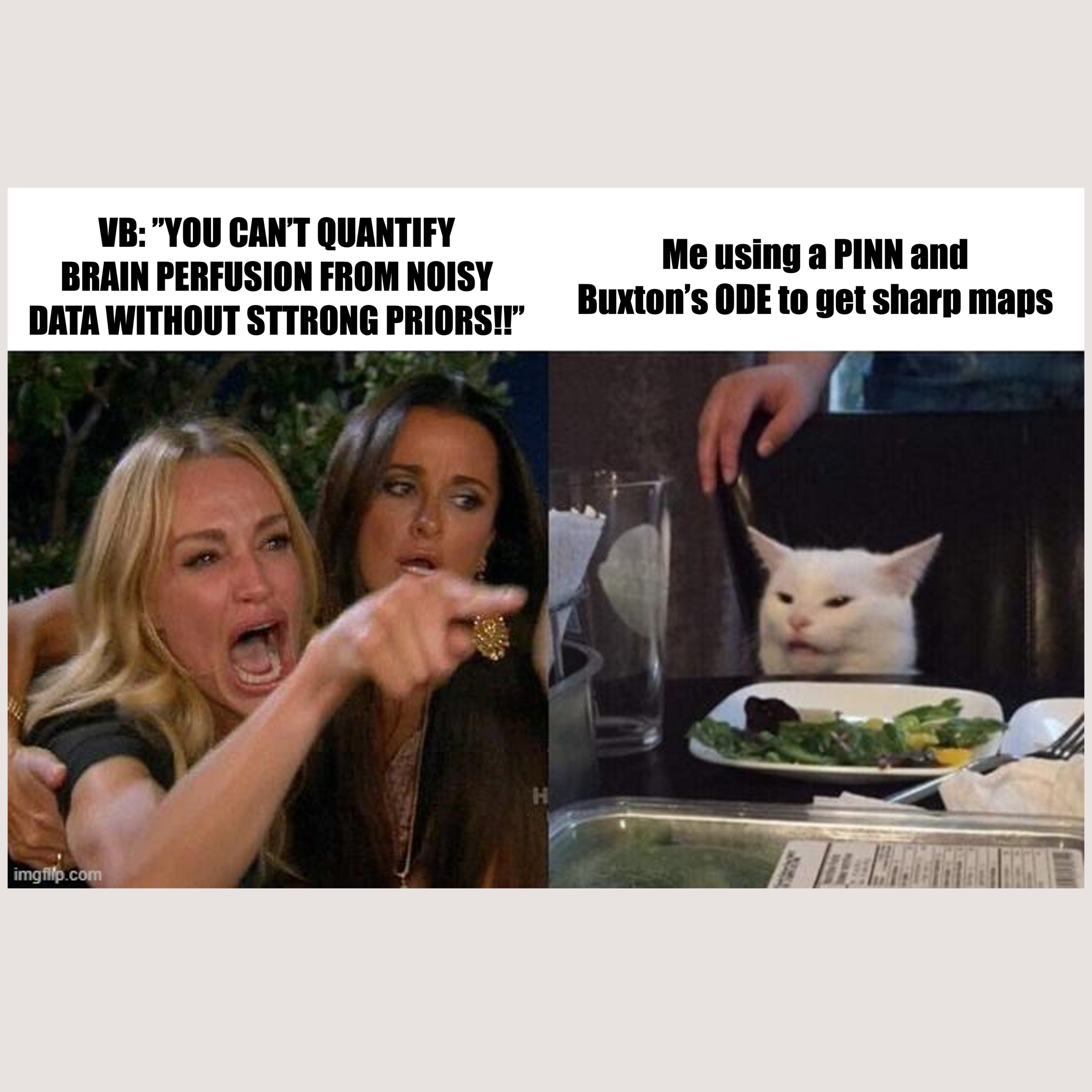 Teaching the machine to bleed: how physics-informed AI is sharpening our view of the brain